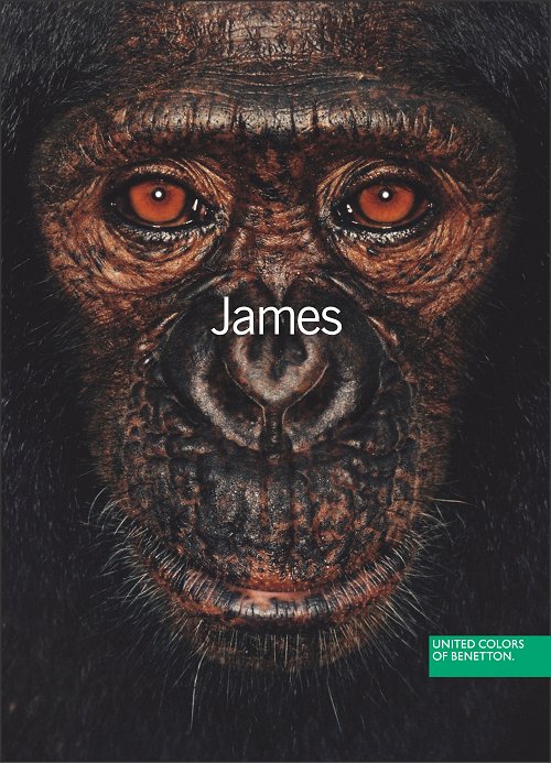 benettonjames.jpg