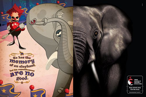 forumelephant_medium.jpg