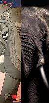 forumelephant_small.jpg