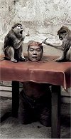 humansforanimals_small.jpg