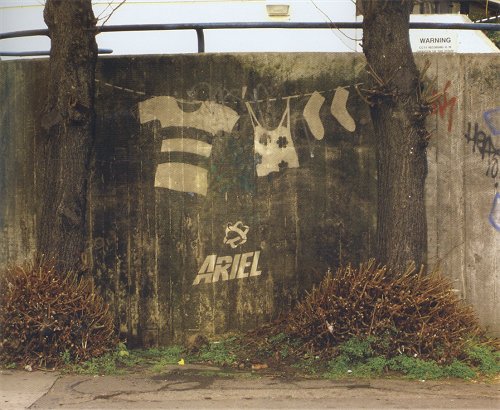 ariel1