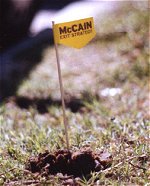 mccainflag_small