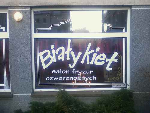 salonfryzurczworonoznych