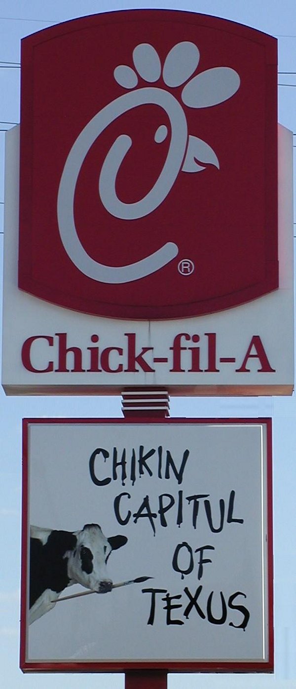 chikincapituloftexus