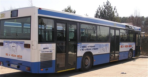 pieswwielkimmiescie_autobus