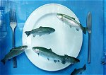 FischFranke_small