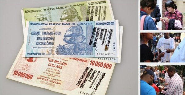 TrillionDollarFlyers TrillionDollarFlyers