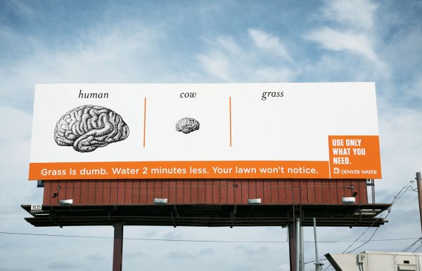 DenverWater_Brain_medium DenverWater_Brain_medium